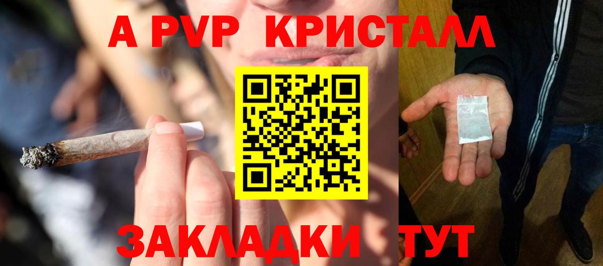 Альфа ПВП СК Саранск