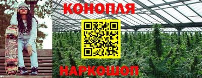 шишки Пушкино