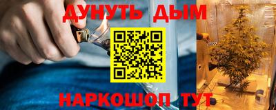 шишки Пушкино