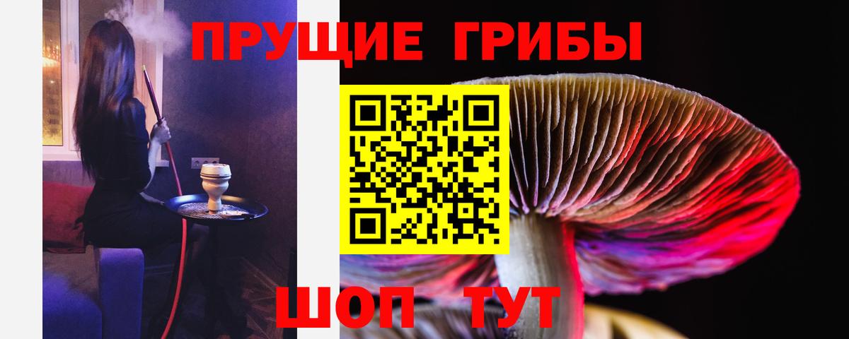 Саранск  Псилоцибиновые грибы MAGIC MUSHROOMS  Галлюциногенные грибы мухоморы  Вход с VPN 